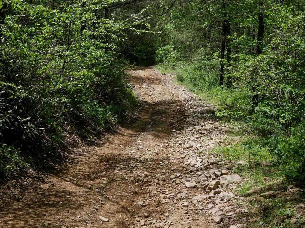 PC 24 photo 5