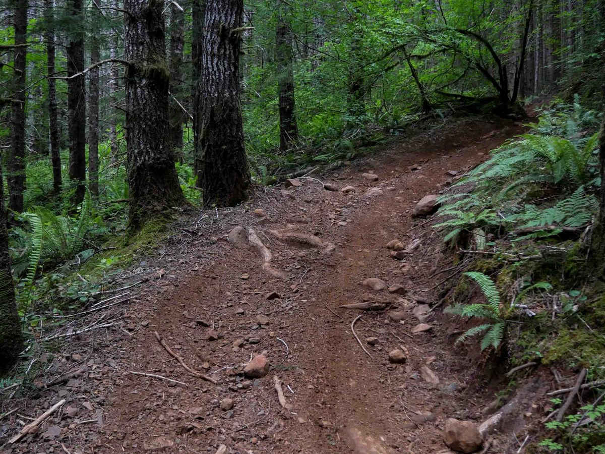 Plympton Creek photo 4