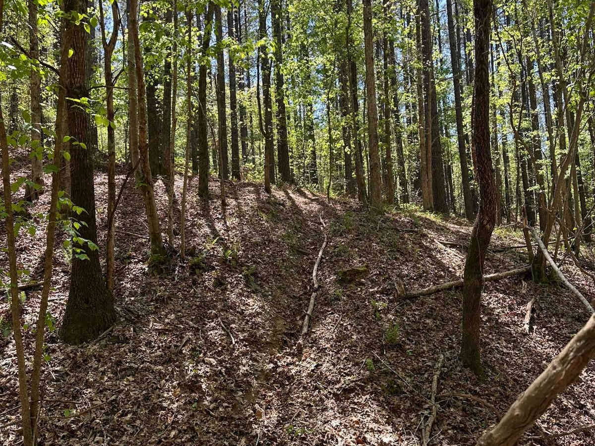 Trail 14 photo 5