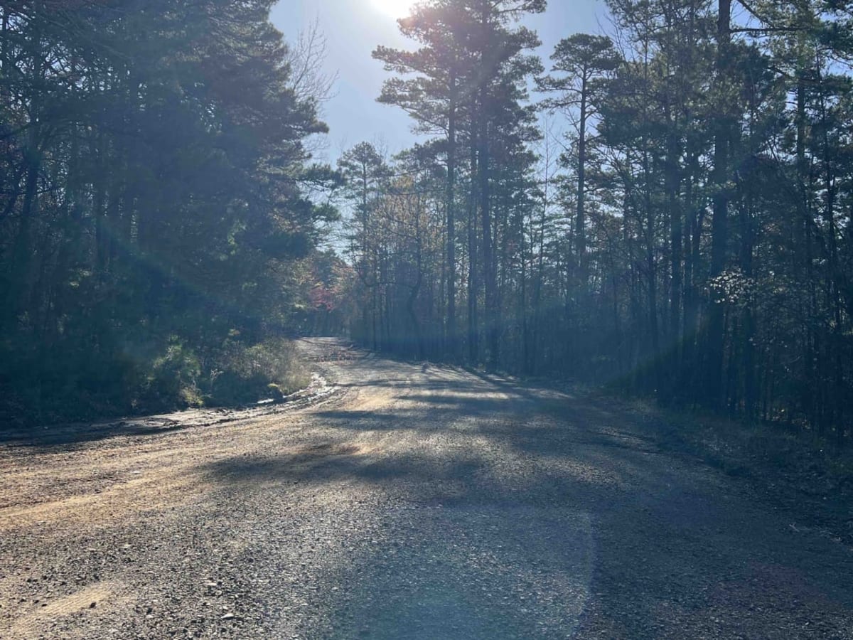 Wilderness Trail photo 2
