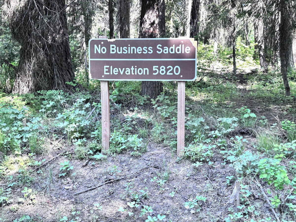 Middle Fork Weiser photo 4