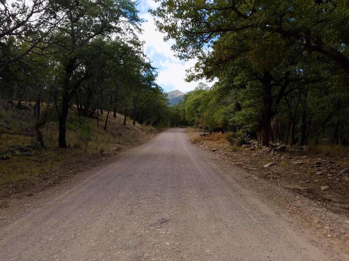 Chiricahua Byway photo 2