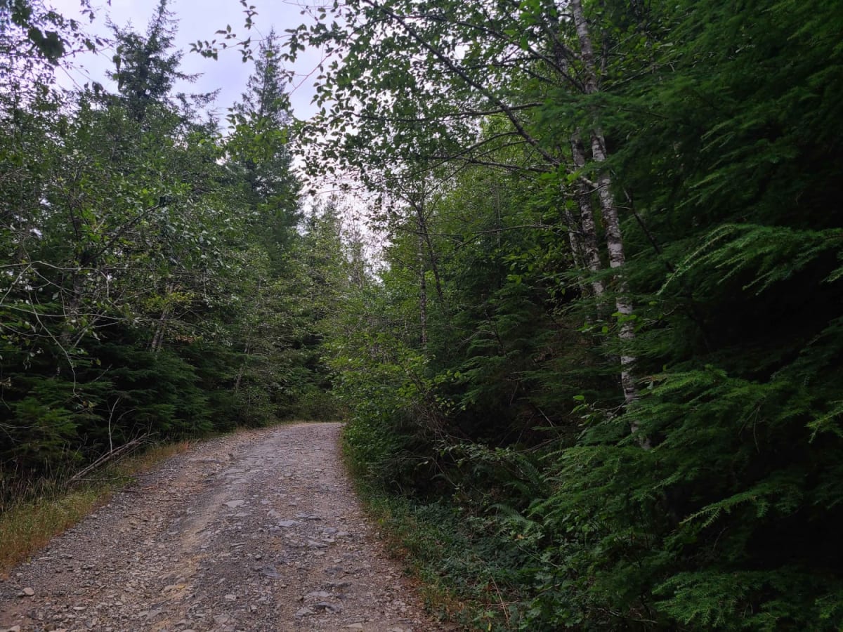 Creek Gravel Grumbler Road photo 5