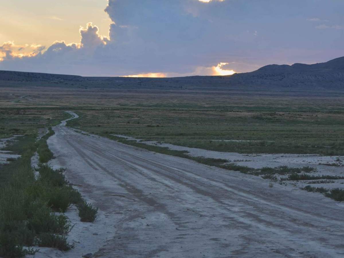 Jack Rabbit Ranch photo 2