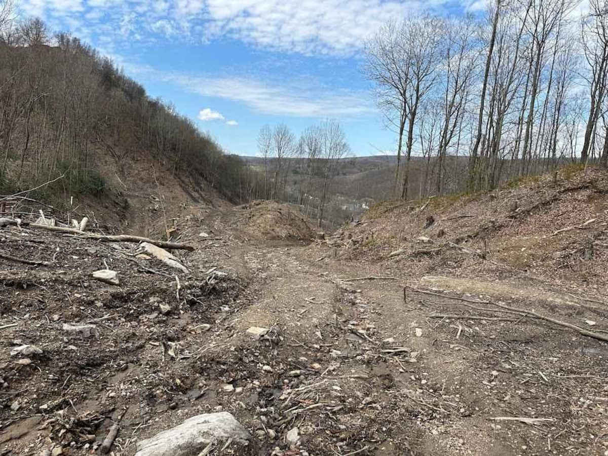 Ashland 135 photo 5