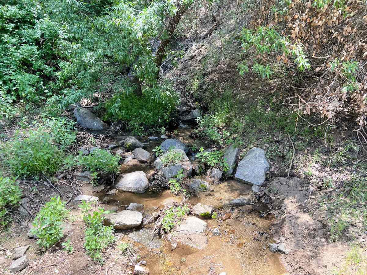 Sawpit Connector photo 5