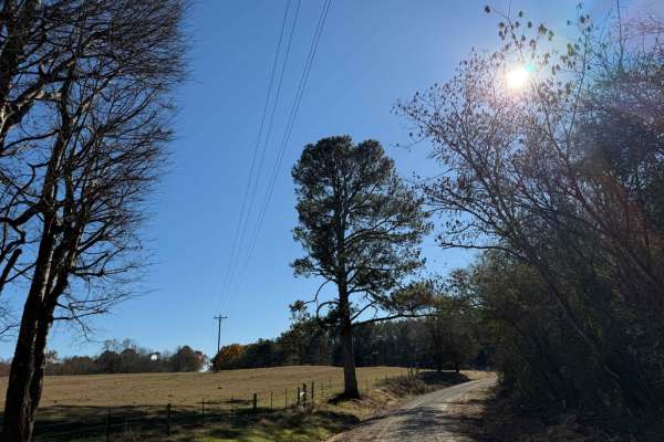 National Forest Road 121