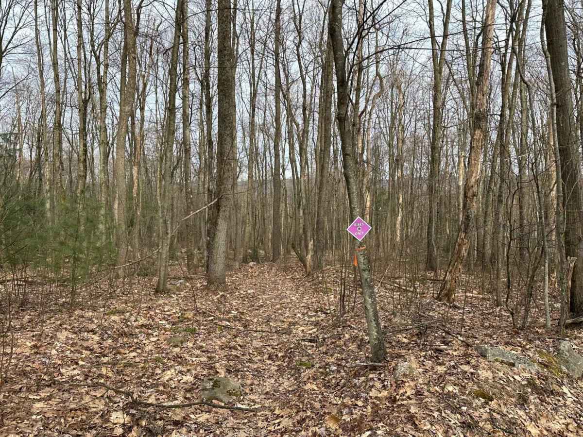 Tower City Single Track 3 - B photo 3