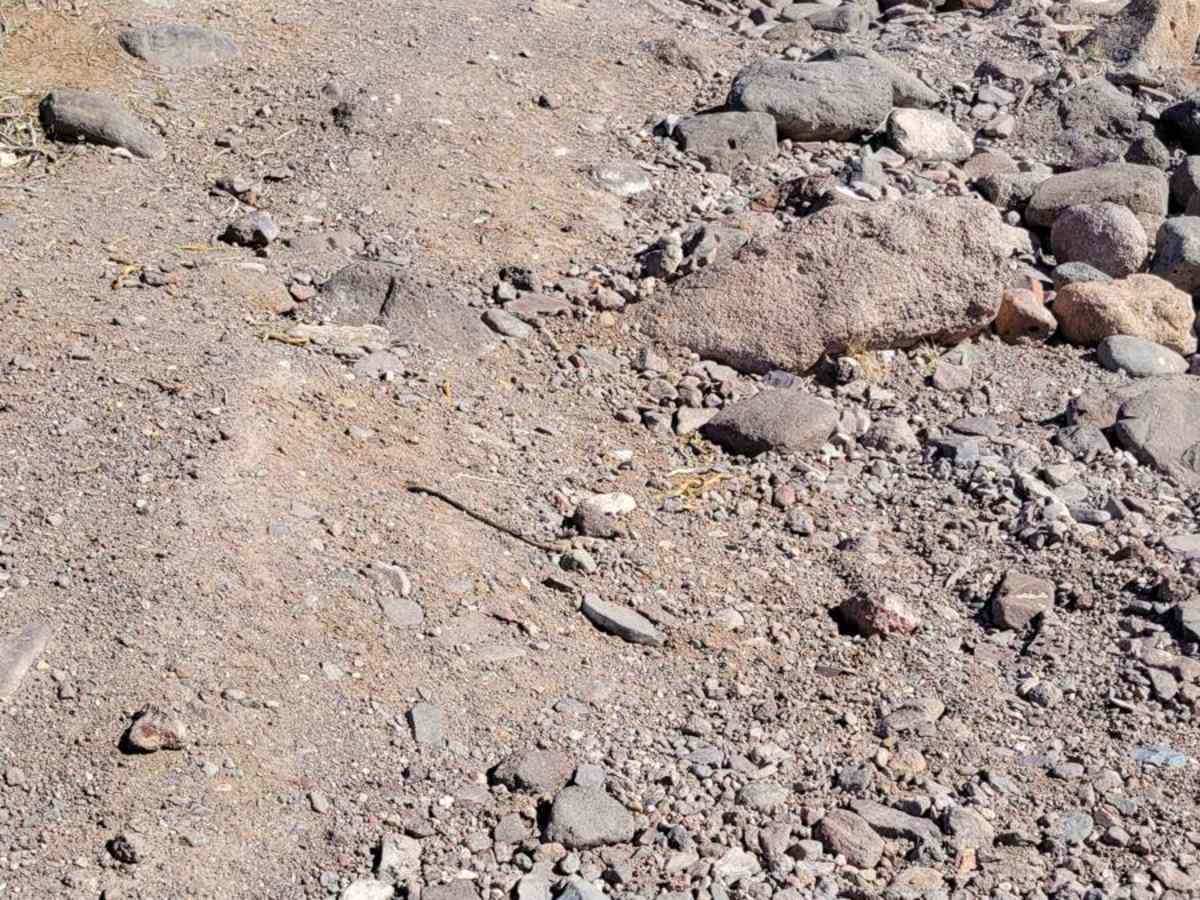 Black Range Mine photo 4