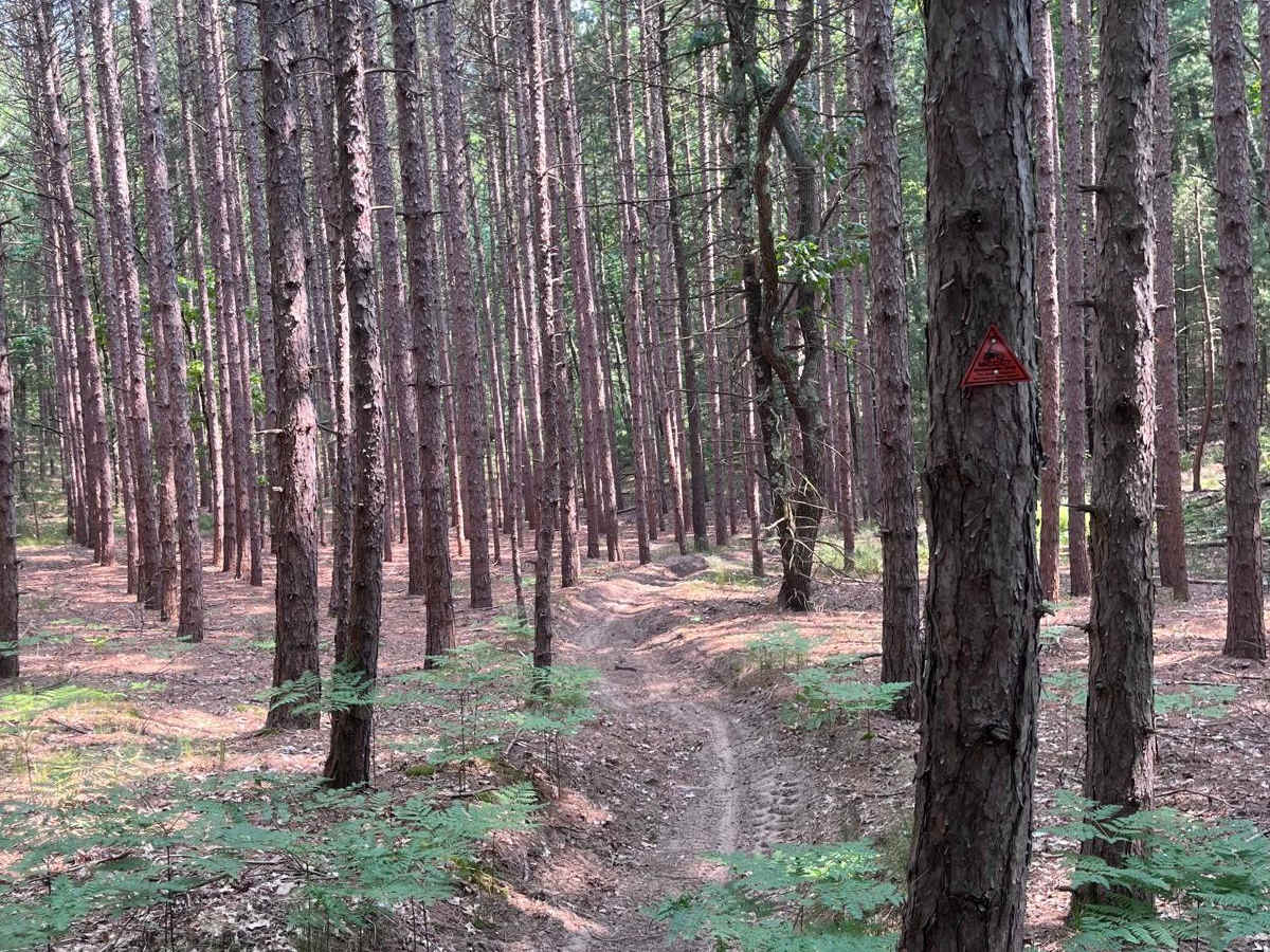 Holton Loop Motorcycle Trail South photo 2
