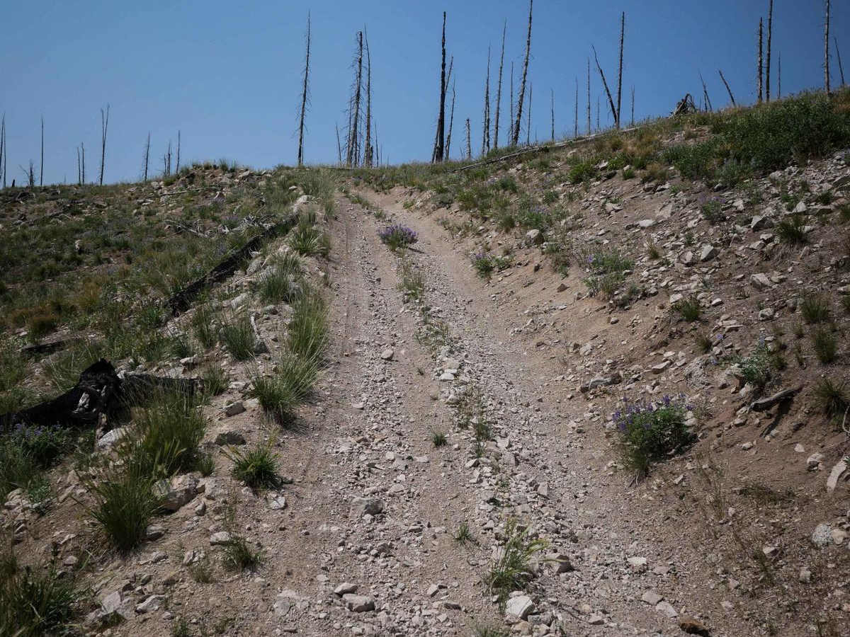 Upper Harden Creek ATV photo 3