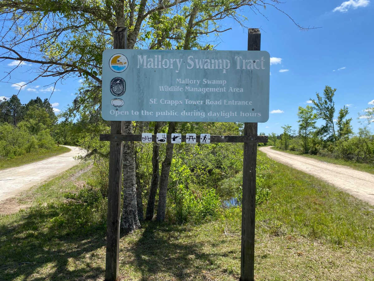 Deserter's Hammock trail photo