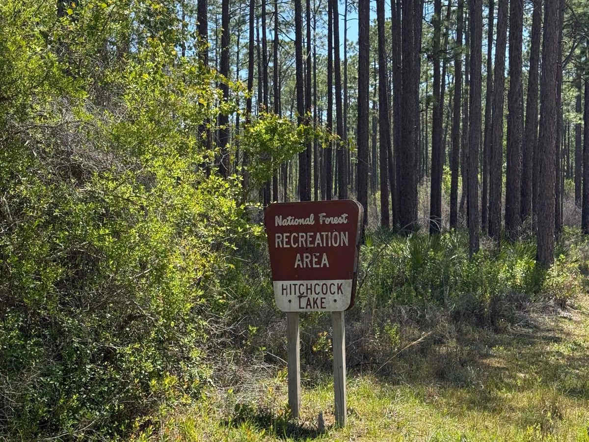 Hitchcock Lake trail photo