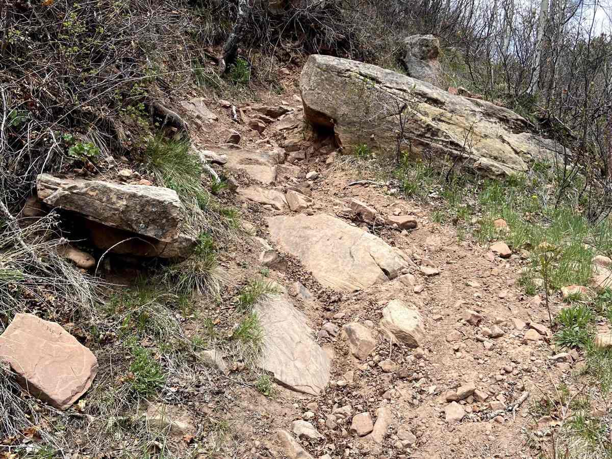 Massey Branch Trail photo 5