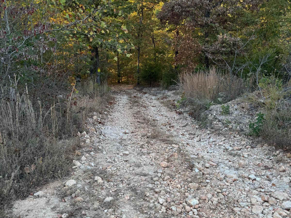 Green 38 trail photo