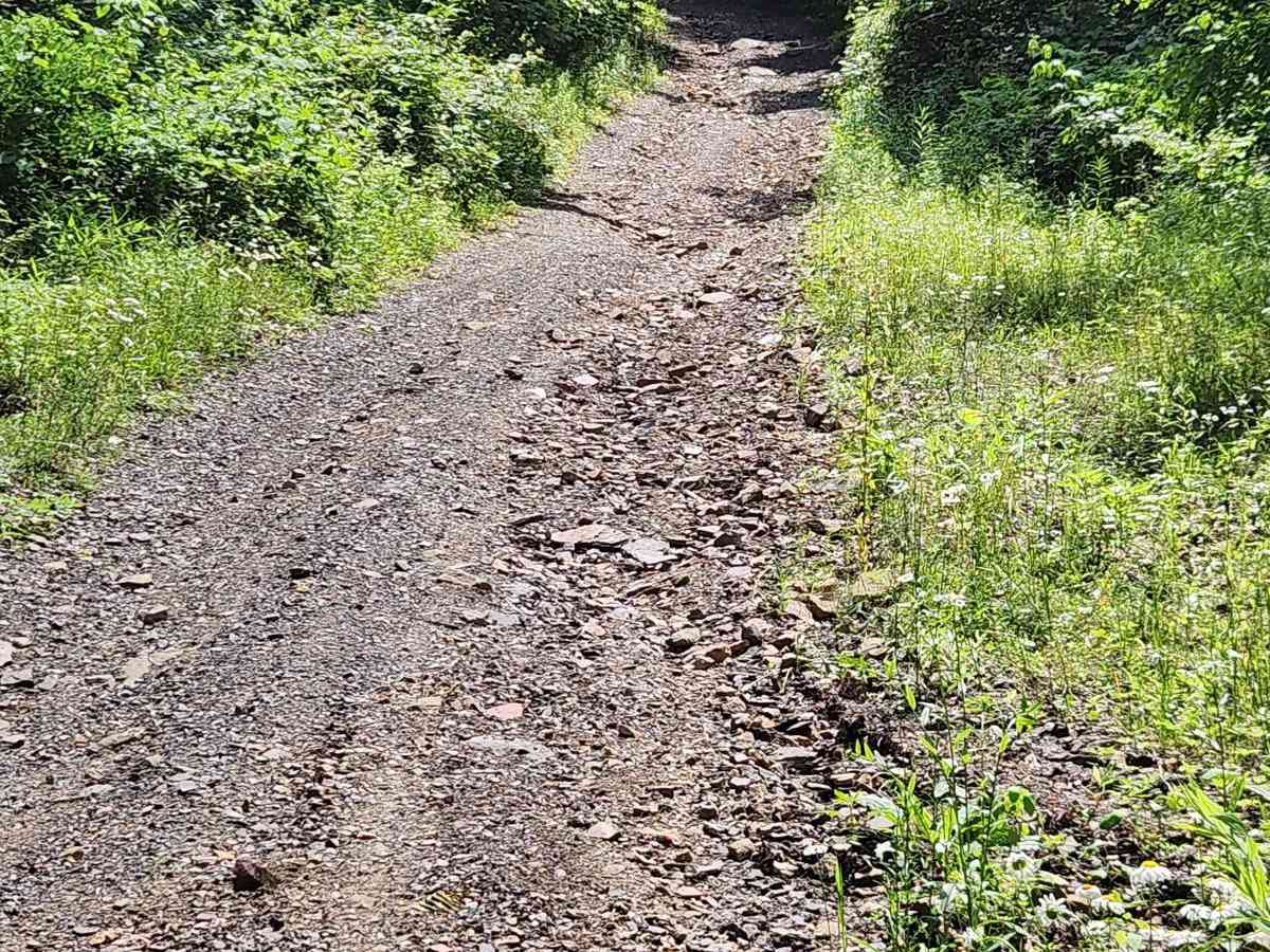 Trail 6 - Rock Run Recreation Area photo 6