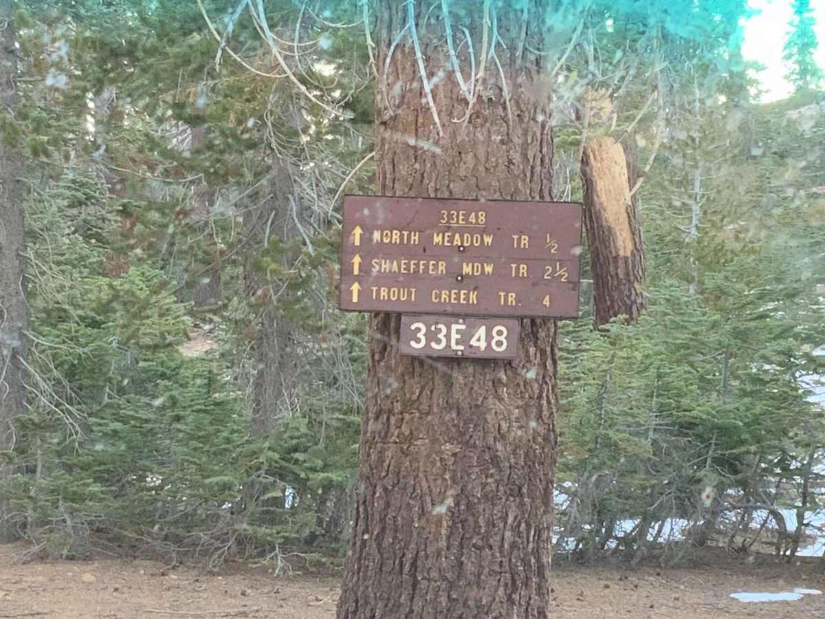 Sherman Pass 4x4 Jeep Trail photo 5
