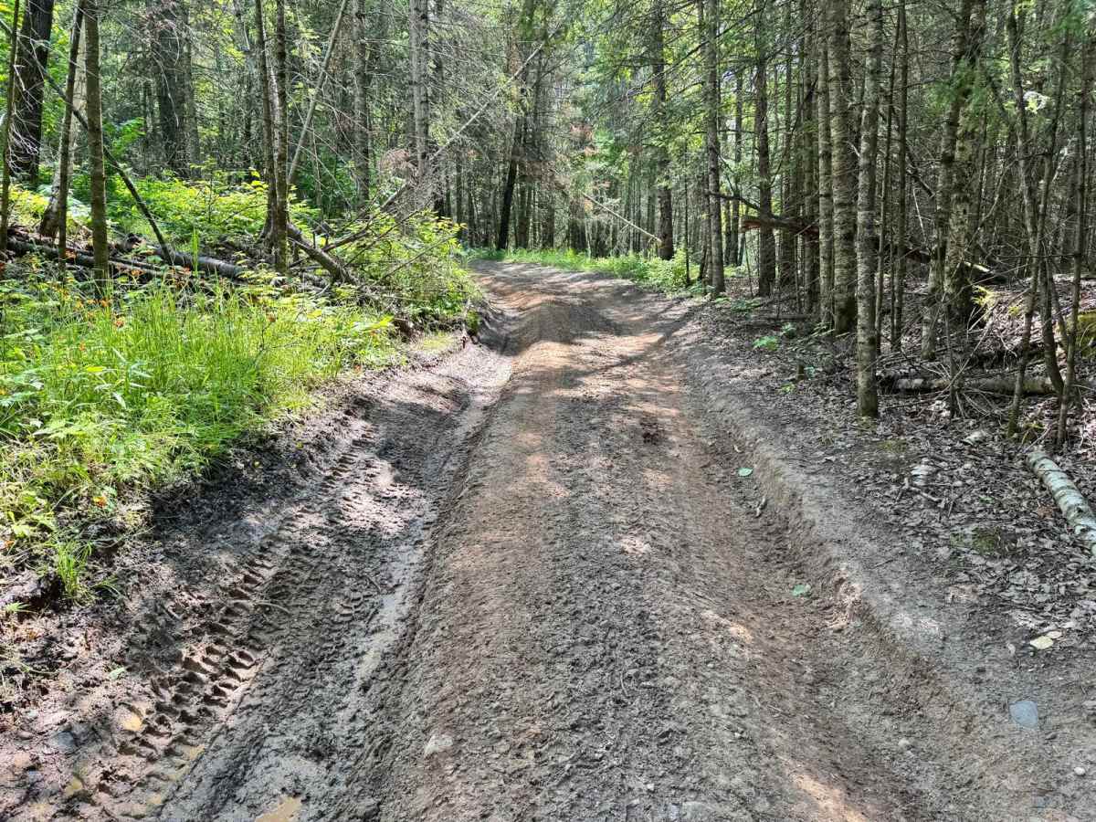 Eager Beaver Loop photo 3