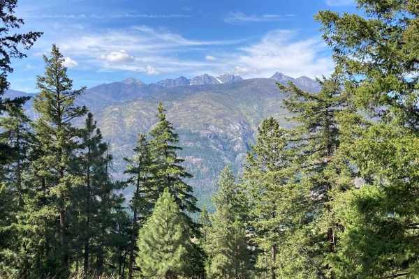 Flagg Mountain Loop - FS 5225
