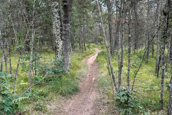 S/W Little Manistee Motorcycle Trail