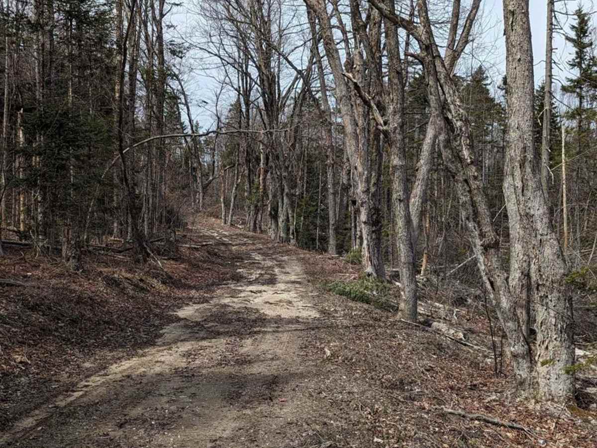 Brown Road photo 4