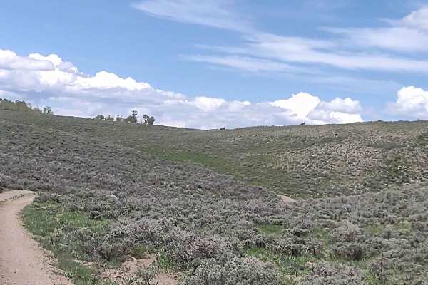 Forshea Troughs (Trail 40073)
