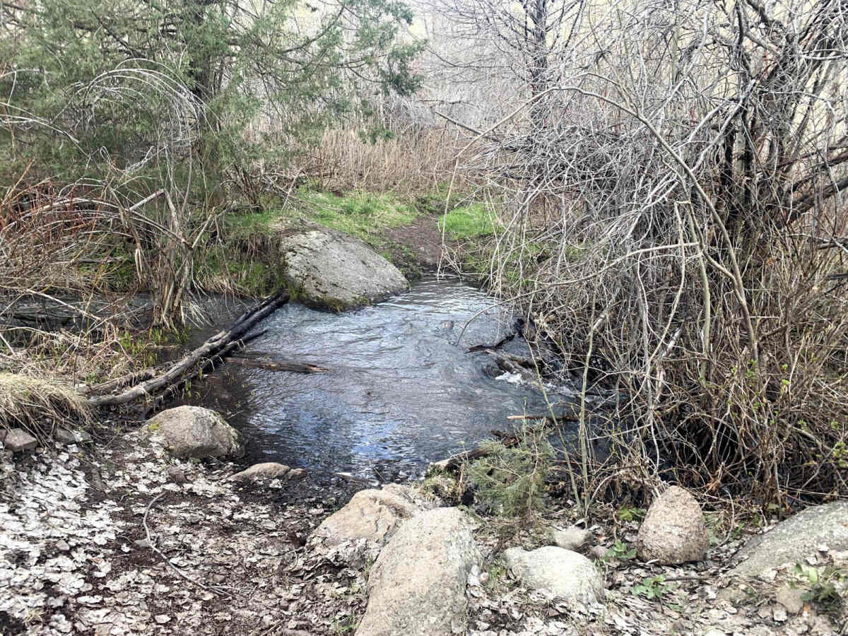 Wahlstrom Hollow Trail photo 4