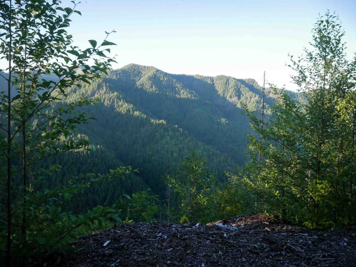 #82 trail photo