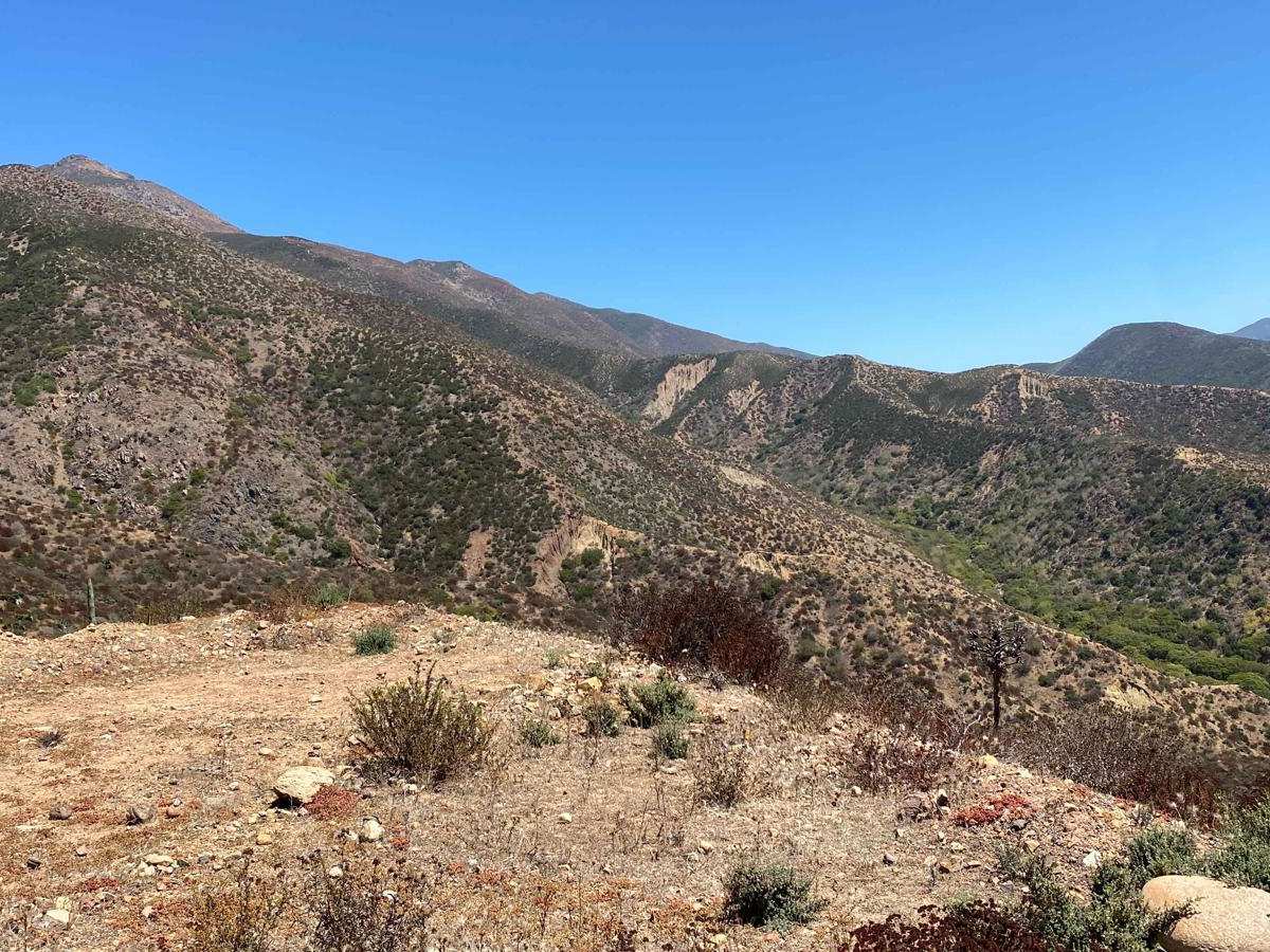 Rancho Estela High Road photo 4