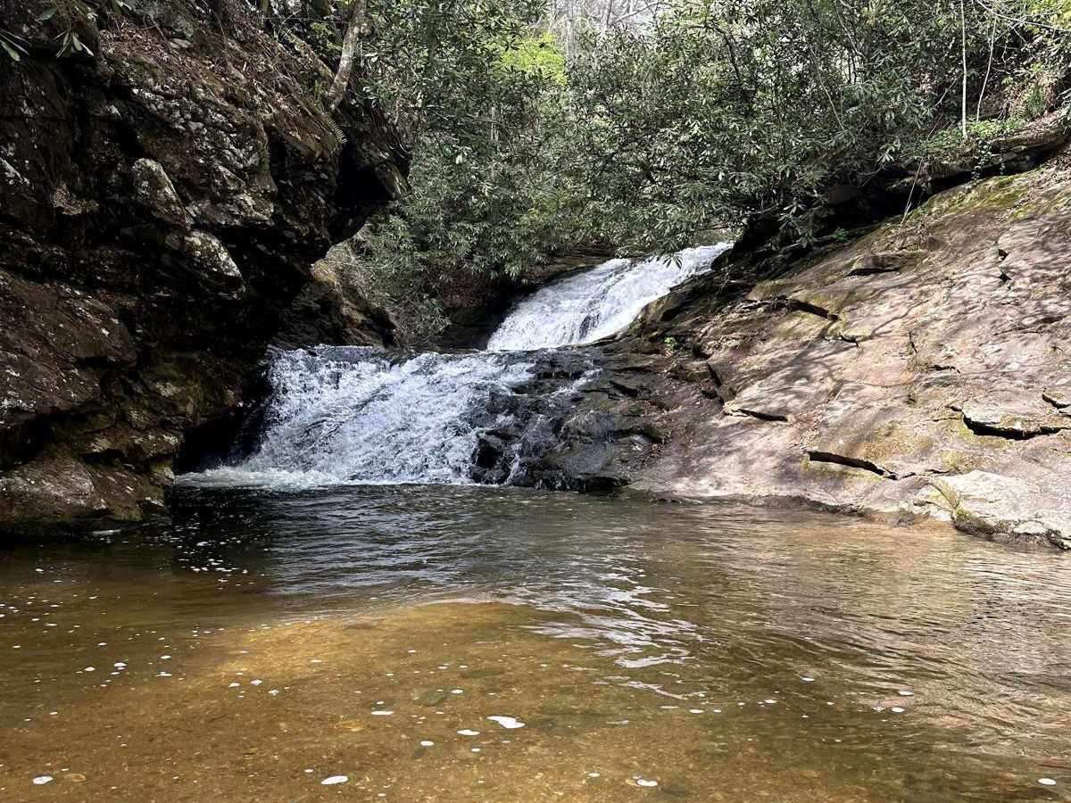 Sea Creek - FS 264 trail photo