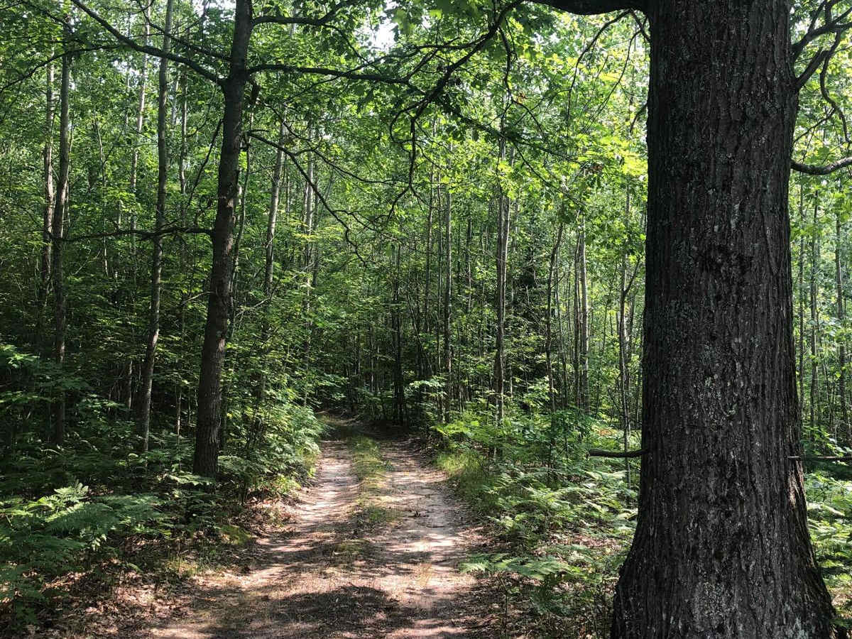 Carpenter Road Loop photo 6
