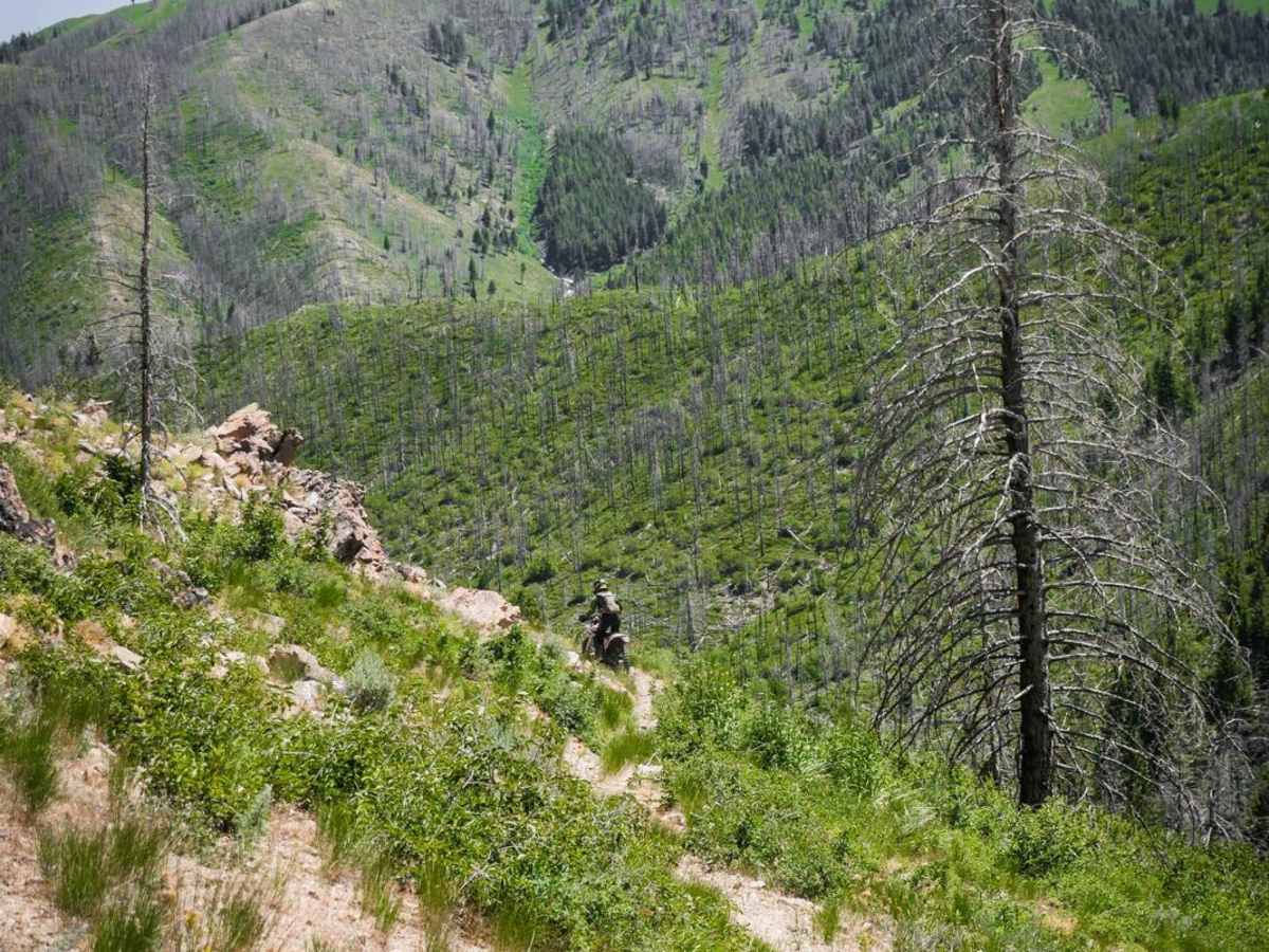 Kinsey Curran Connector trail photo