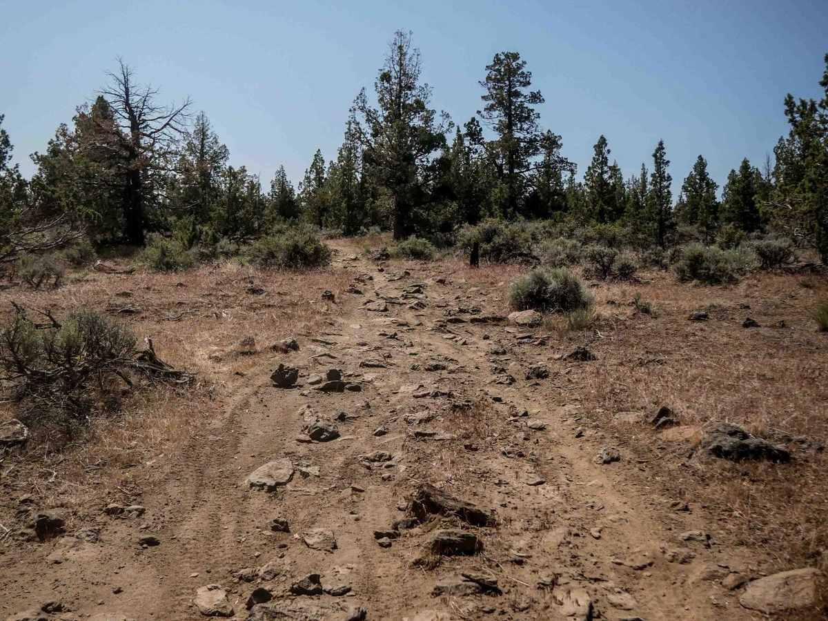 25 trail photo