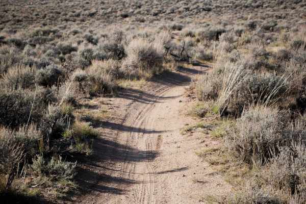 Evans Loop