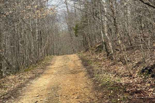 Trail 10
