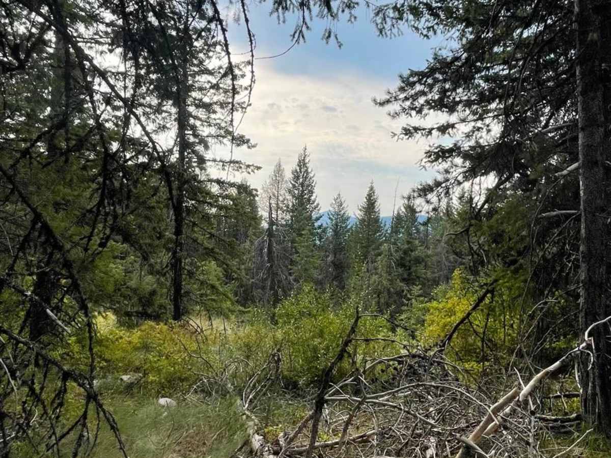 Little Pend Oreille Loop trail photo