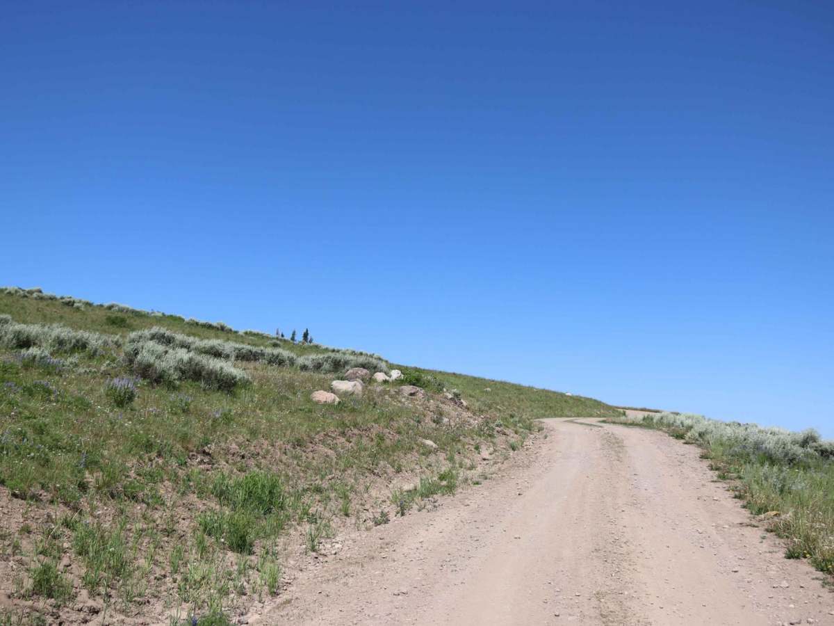 Heber Mountain Spur 1 - FS 70055 photo 2