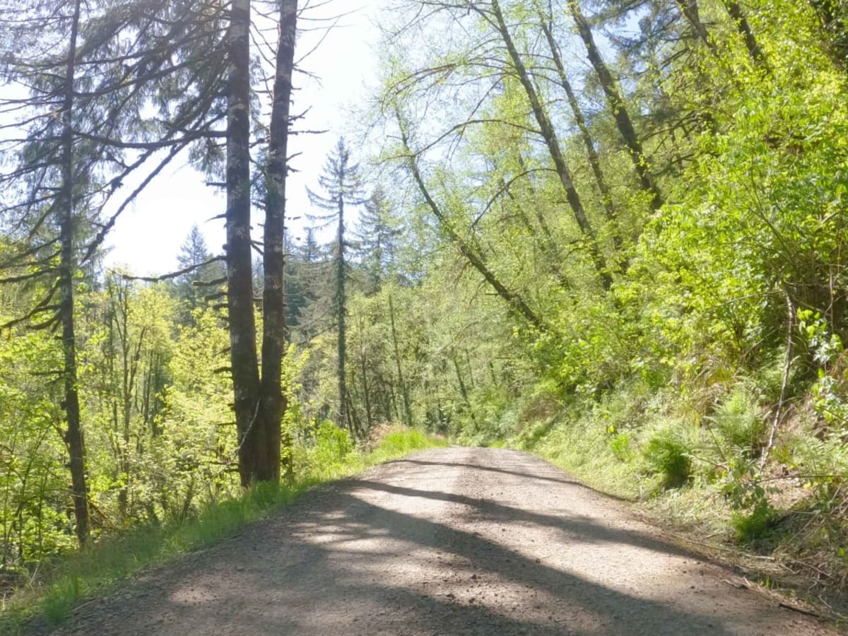 Jordan Creek Road photo 2