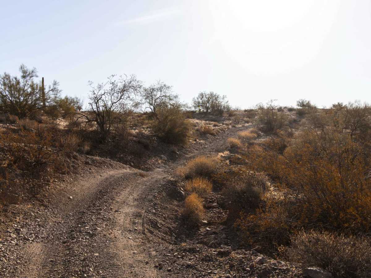 24012 Trail photo 3