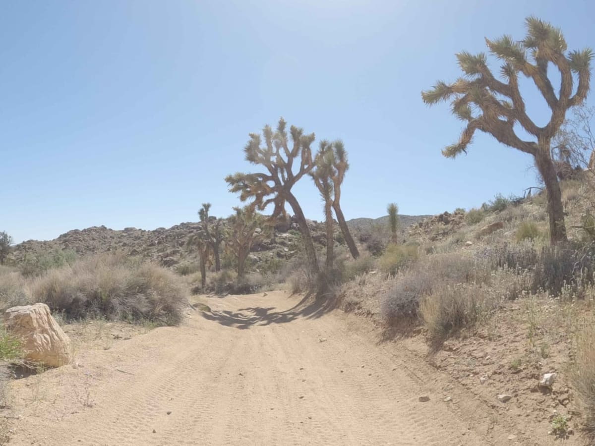 BLM C1418 photo 5