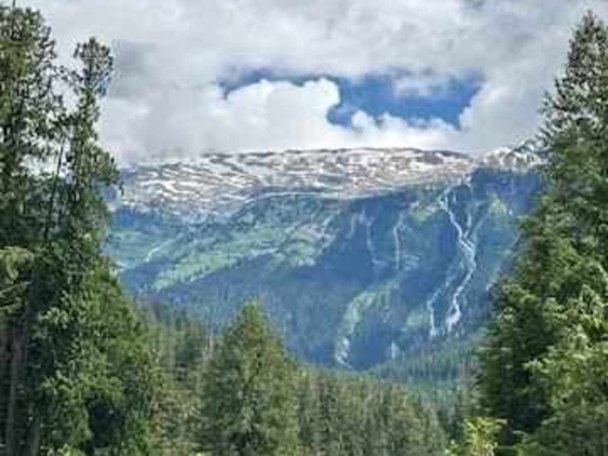 North Fork Road photo 4