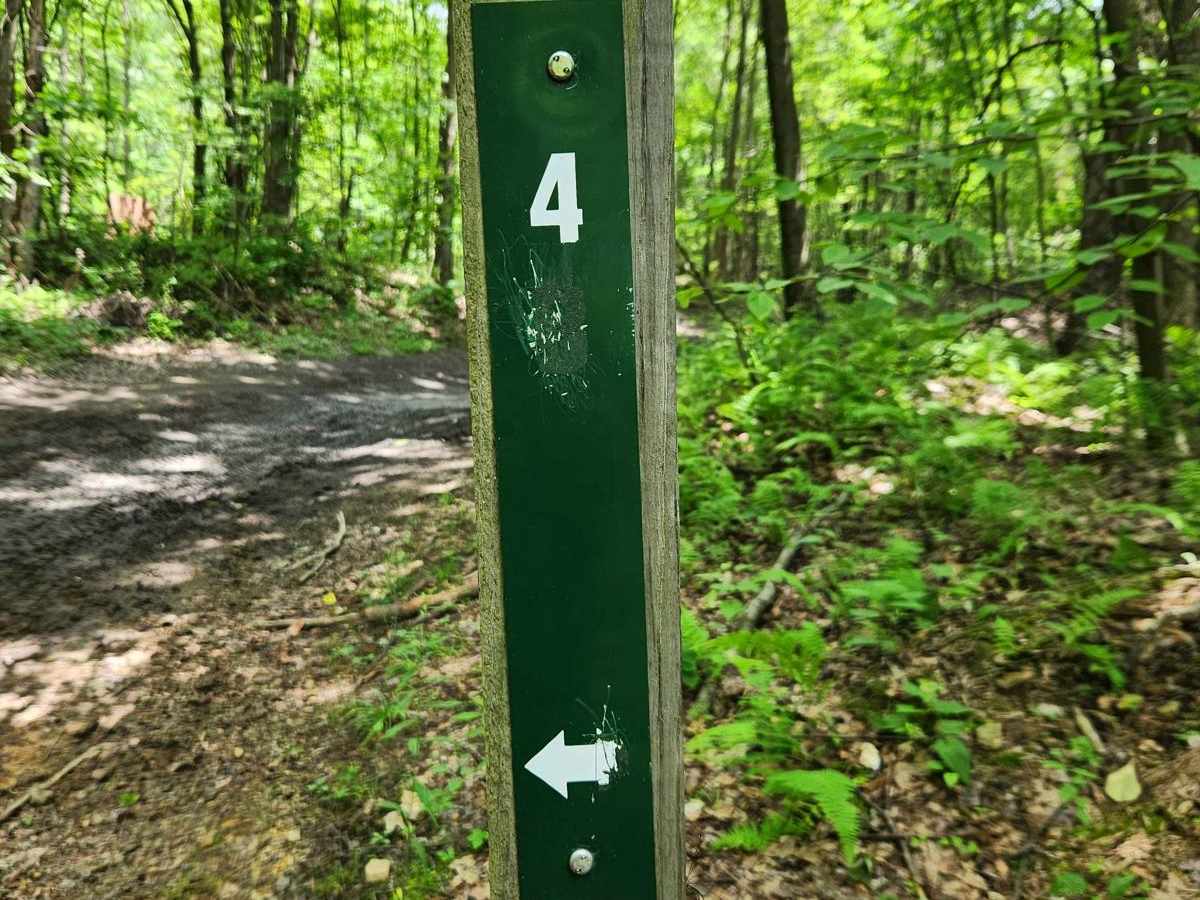 Trail 4 - Rock Run Recreation Area trail photo