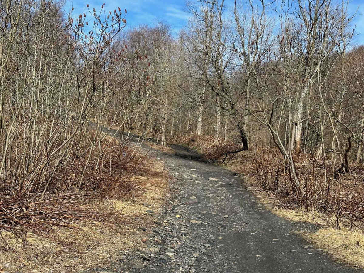 Pennsyl Tucky Highway photo 6