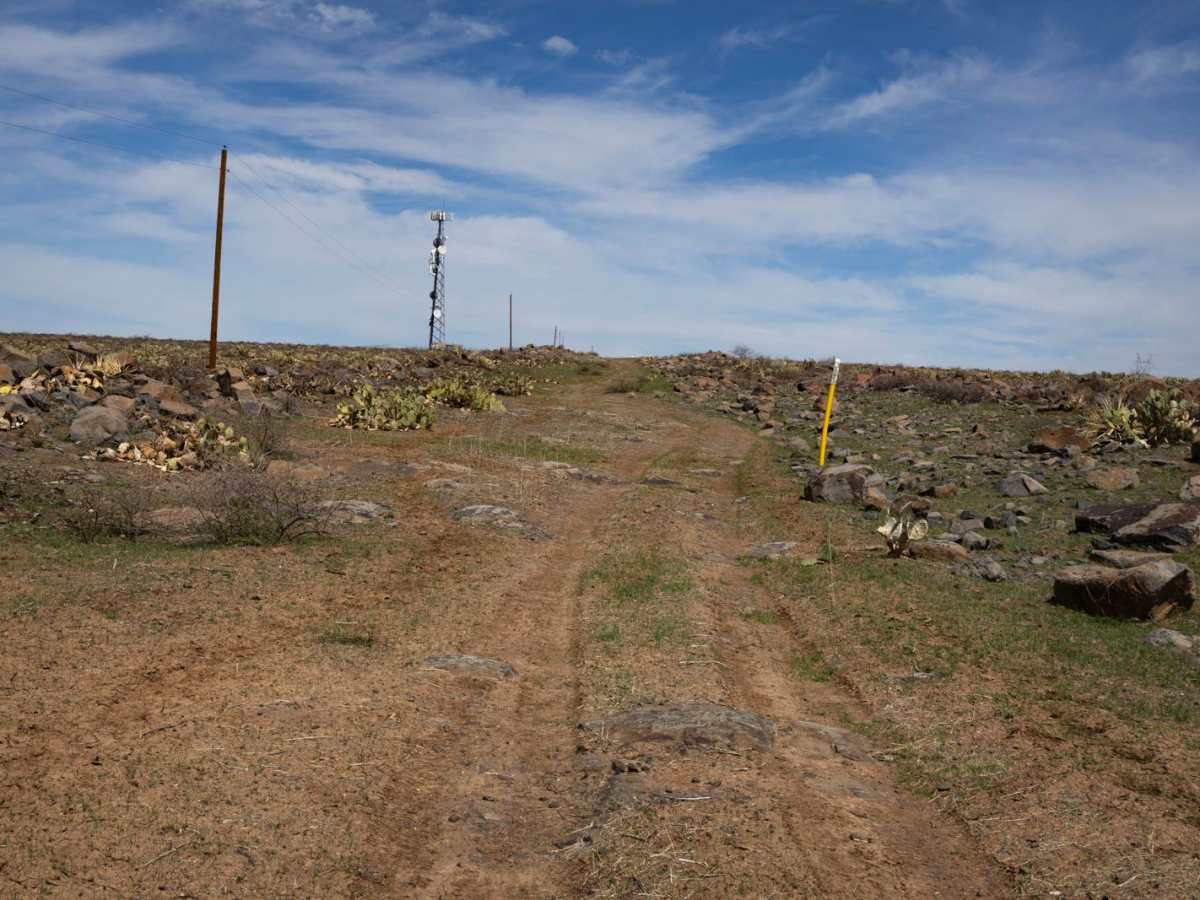 31 Far South photo 6