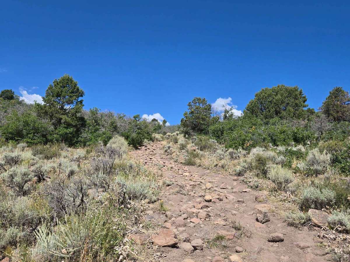 Trail 4994 - FSR 41750 photo 2