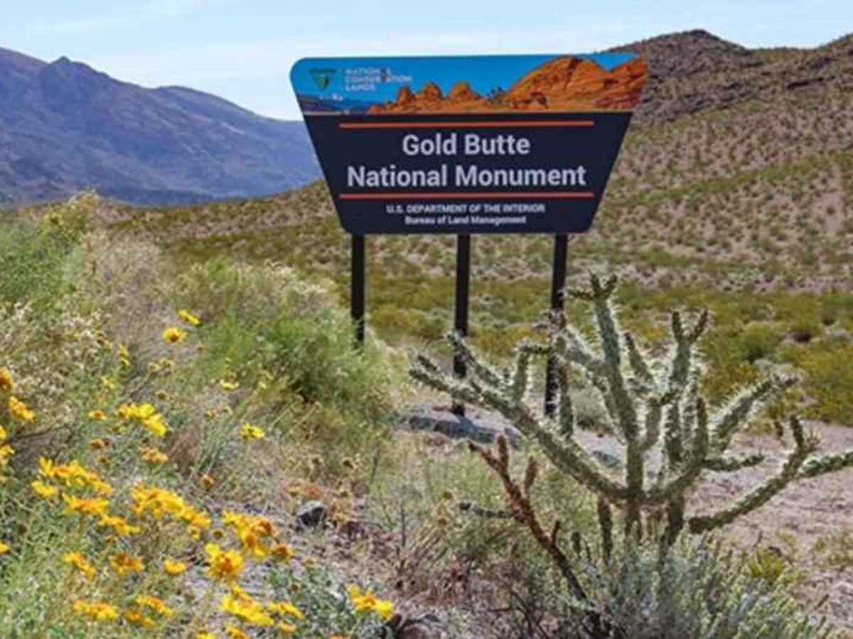 Grand Gulch Road/Azure Ridge Draw BLM 1215 photo 2