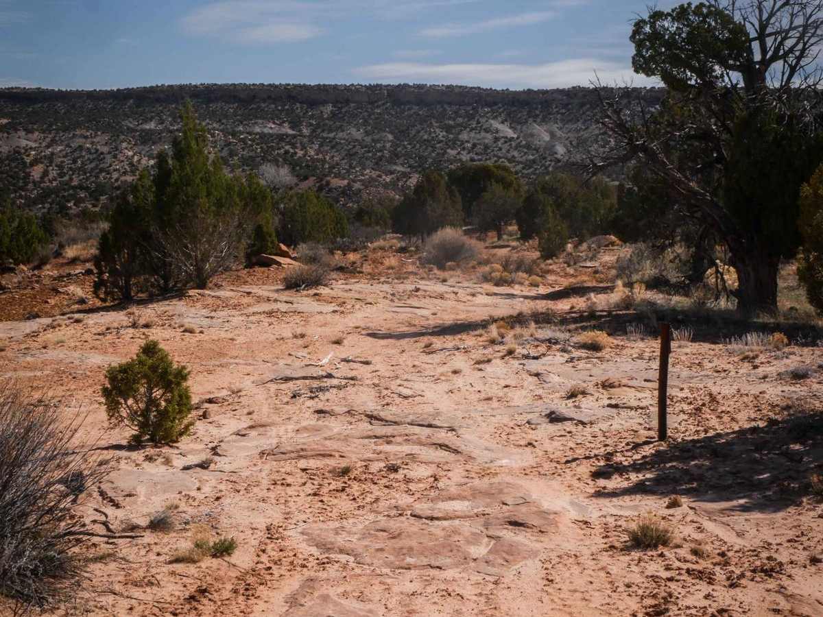 Trail 1 photo 5