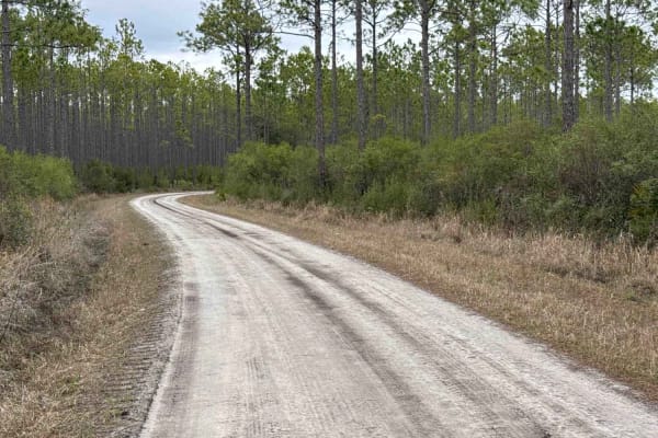 Crooked River Road