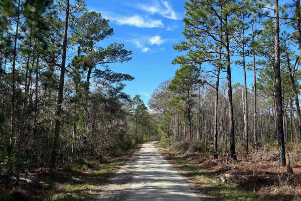 Hampton Road - FSR170