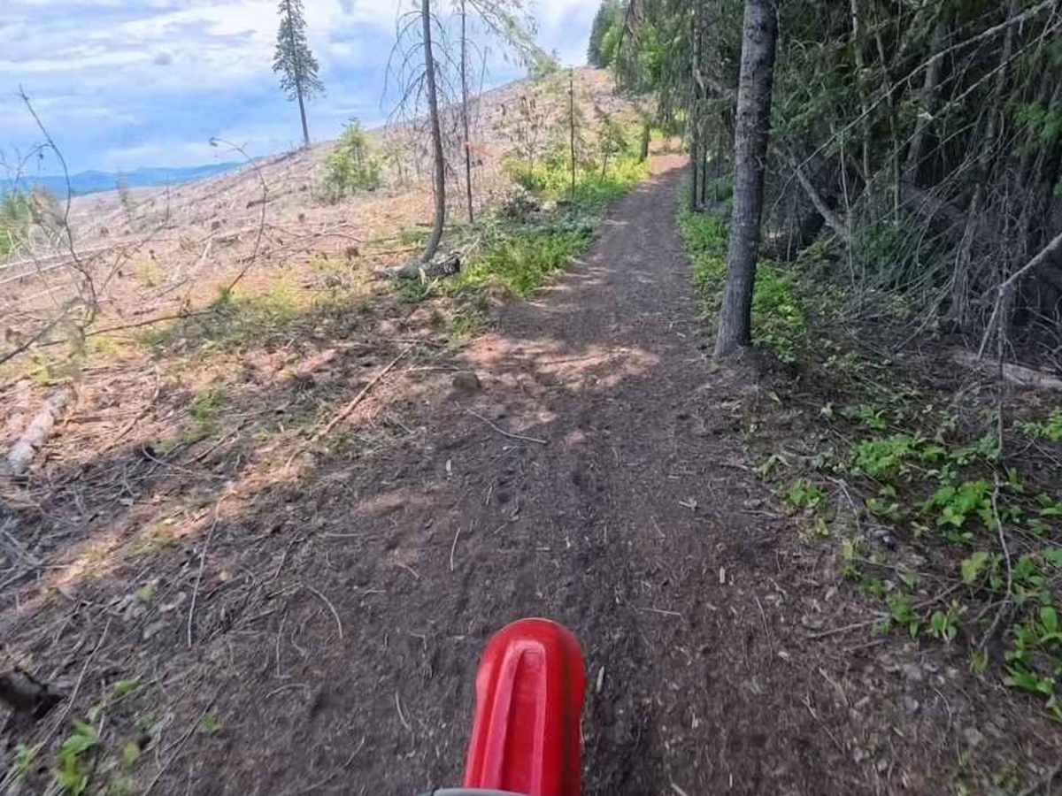 Chesley Creek Trail 19 photo 6